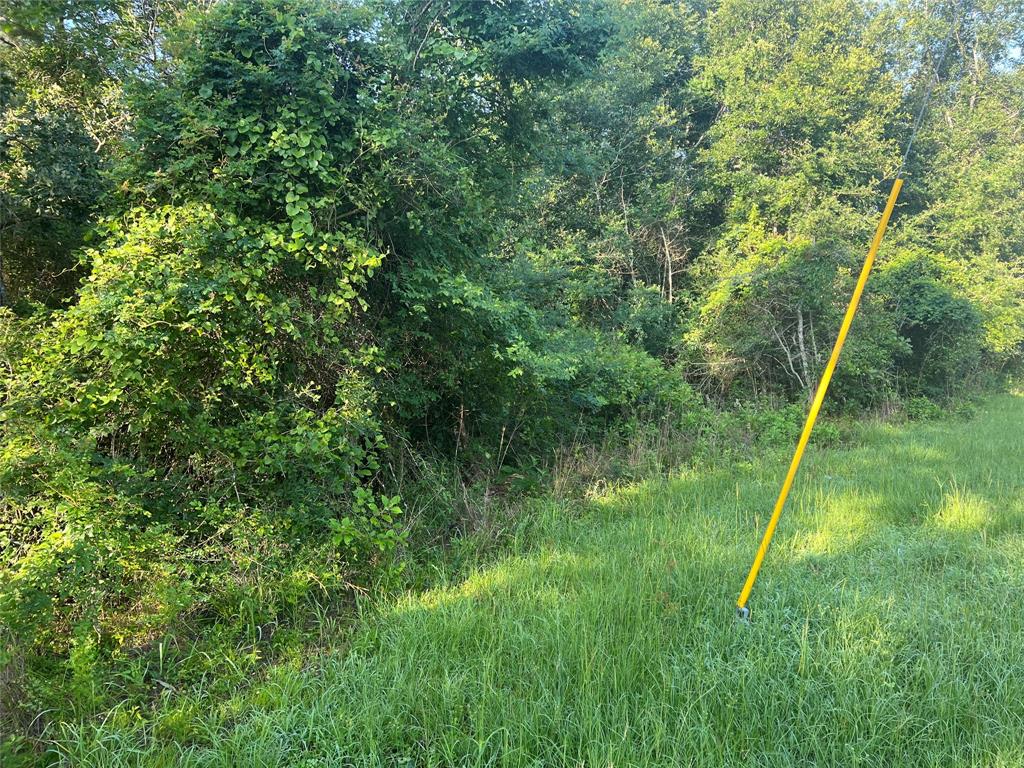 TBD Cr 151, Bedias, Texas image 2