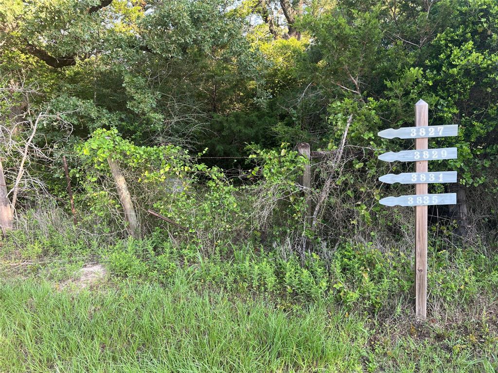 TBD Cr 151, Bedias, Texas image 3