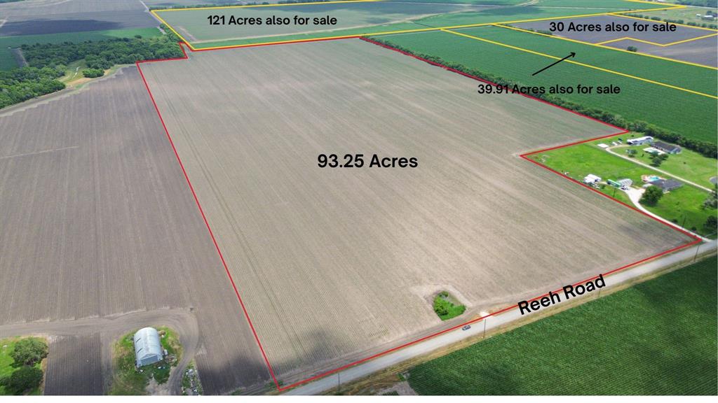 4141 Reeh Road, Needville, Texas image 10