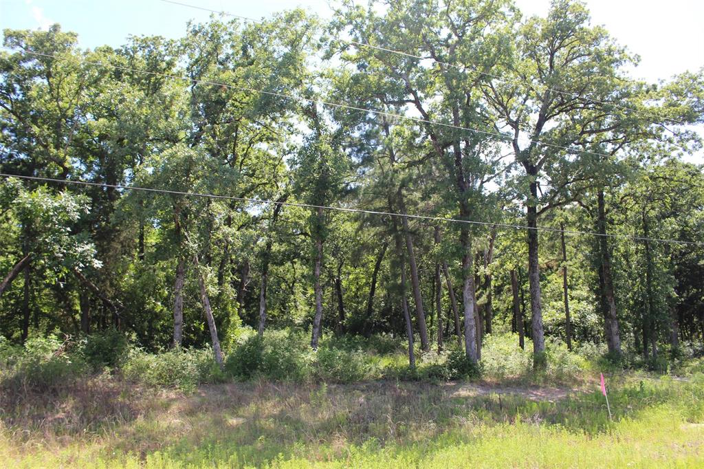 Tract 166 Private Road 1311, Centerville, Texas image 14