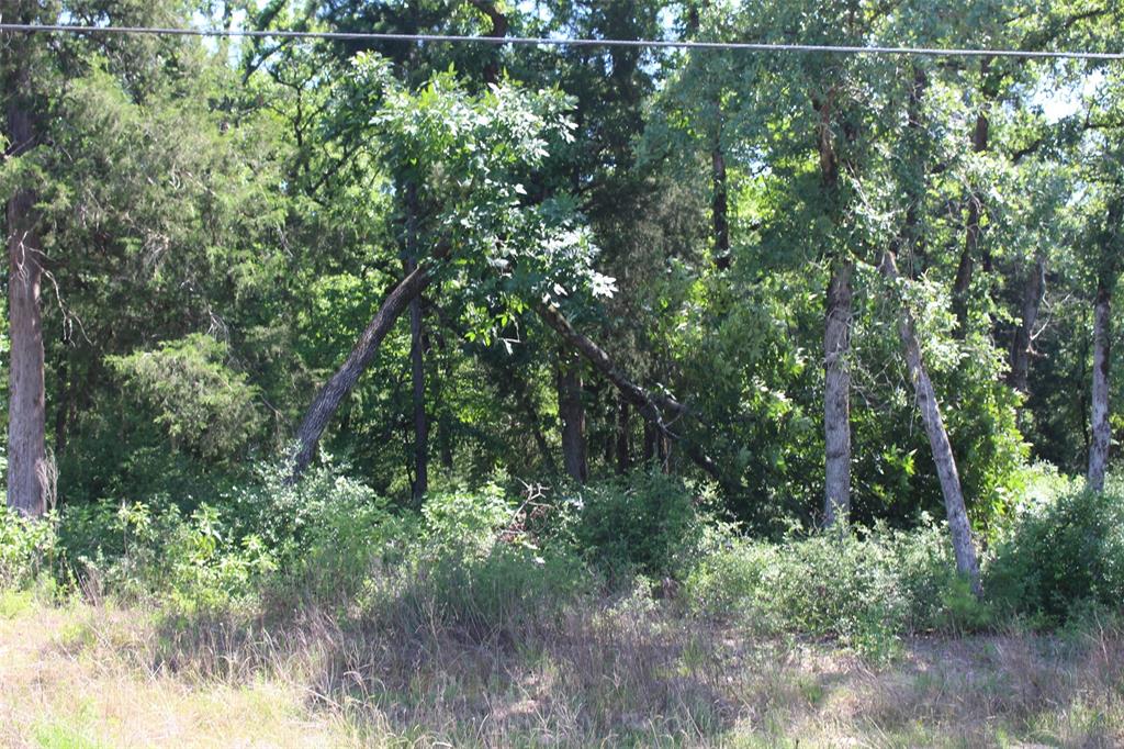 Tract 166 Private Road 1311, Centerville, Texas image 13