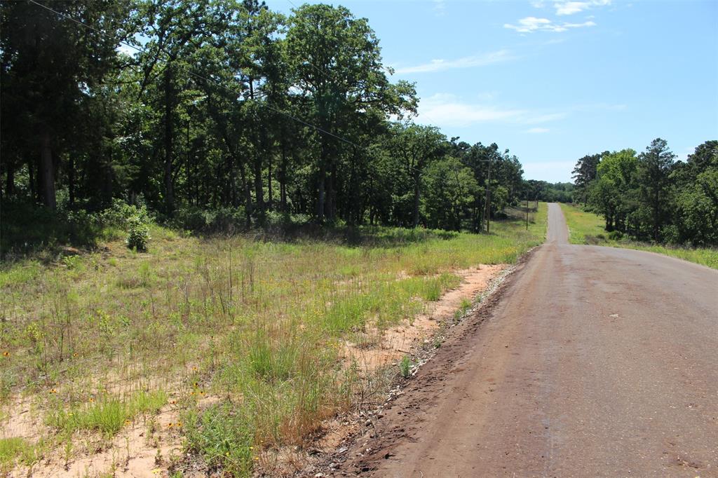 Tract 166 Private Road 1311, Centerville, Texas image 19