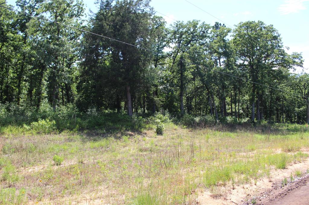 Tract 166 Private Road 1311, Centerville, Texas image 17