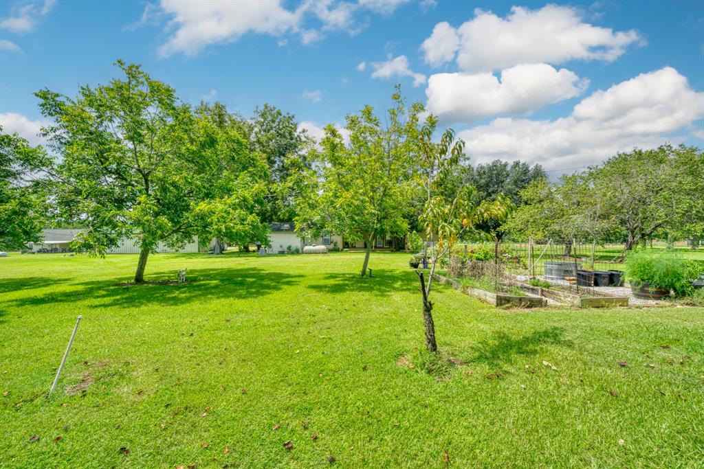 14966 Snoe Road, Willis, Texas image 37