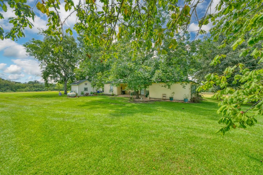 14966 Snoe Road, Willis, Texas image 35