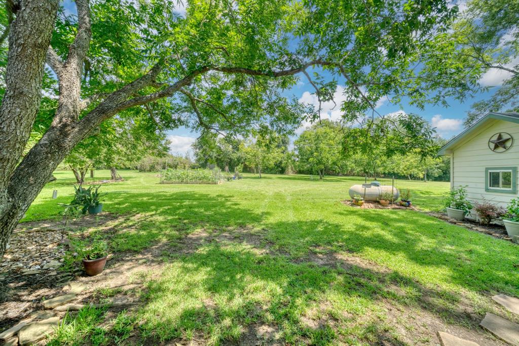 14966 Snoe Road, Willis, Texas image 33
