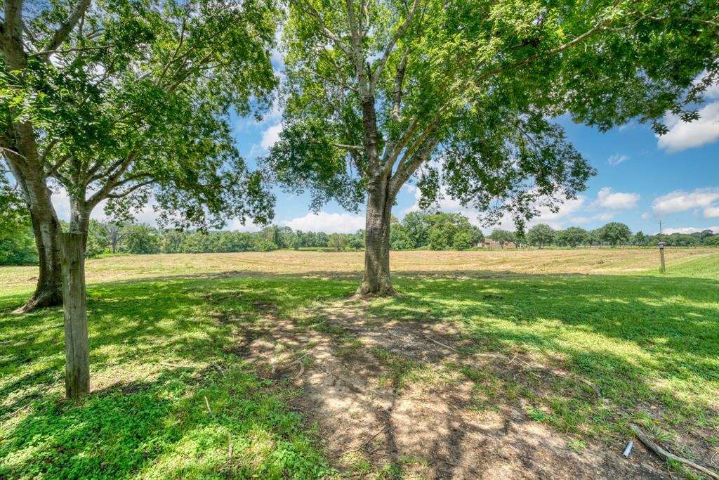 14966 Snoe Road, Willis, Texas image 45