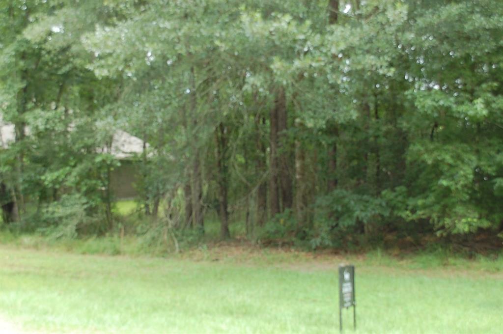 25 Firewood Road