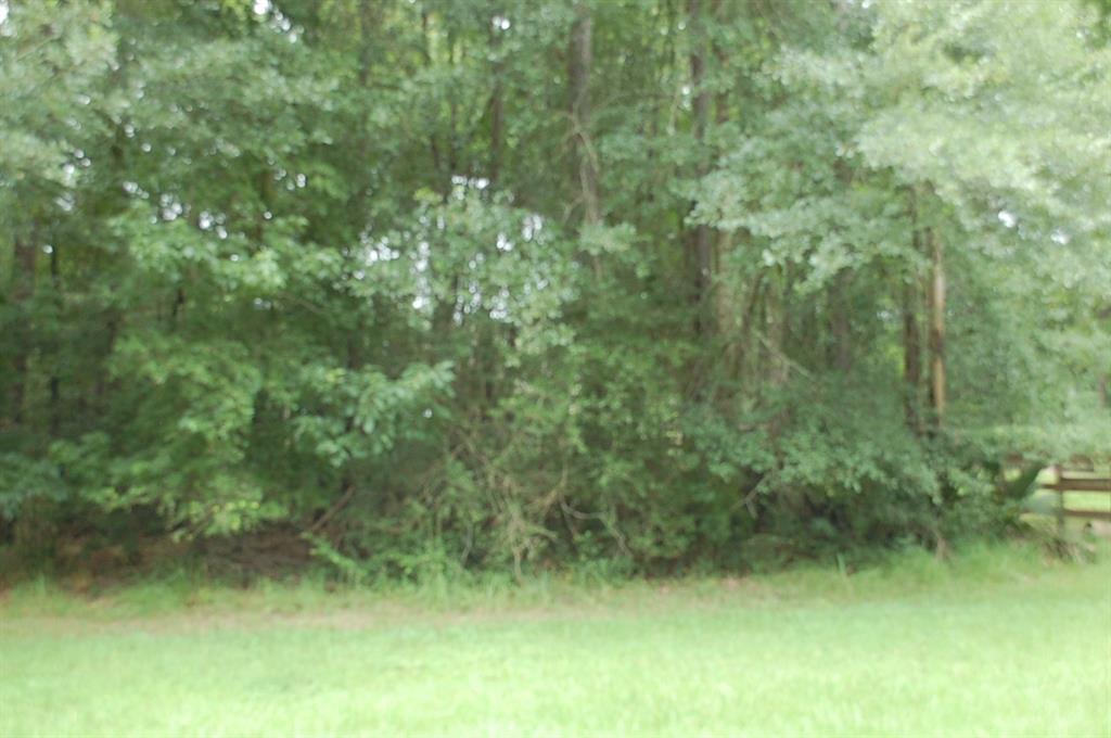 25 Firewood Road