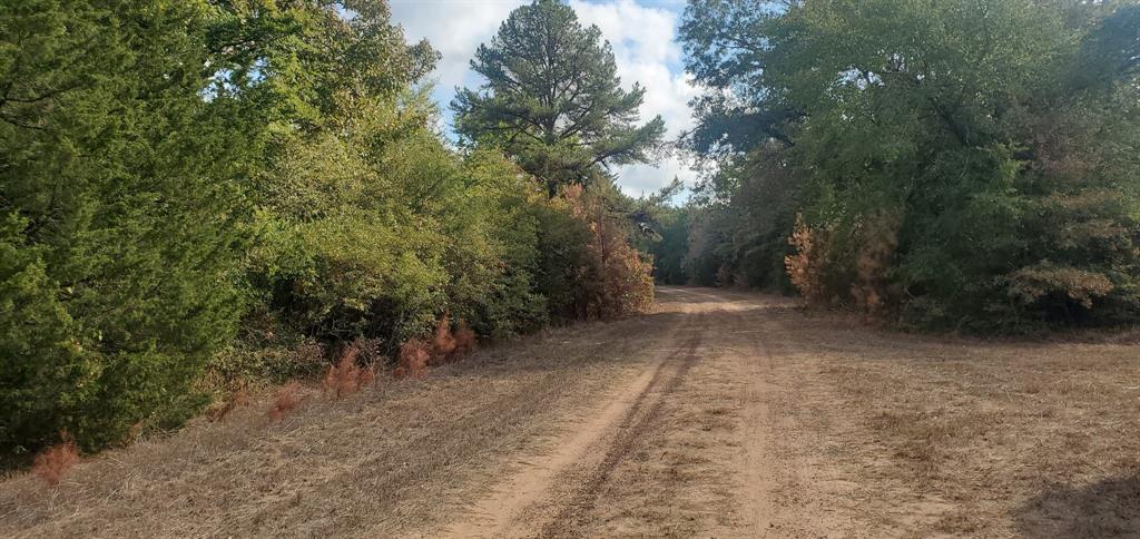 Lot 23 Deerwood Drive, Hempstead, Texas image 8