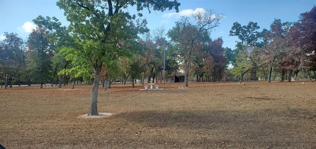 Lot 23 Deerwood Drive, Hempstead, Texas image 26