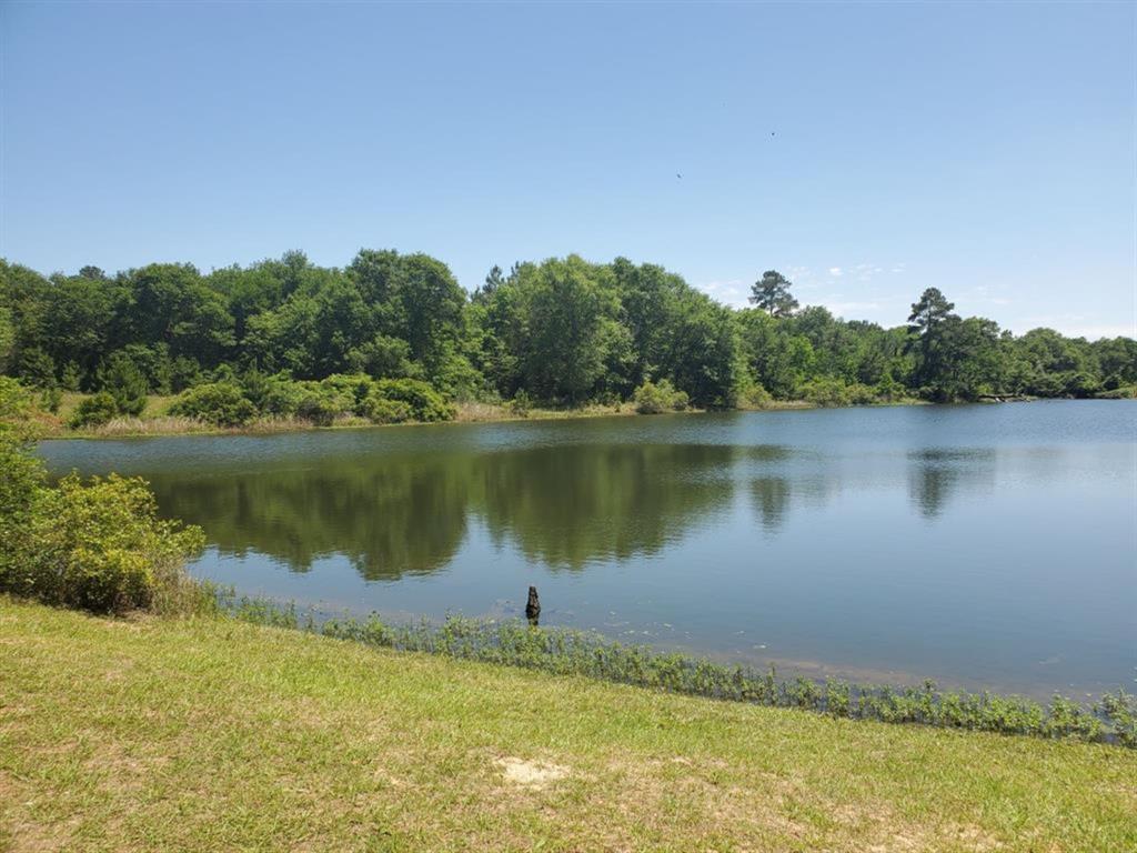 Lot 23 Deerwood Drive, Hempstead, Texas image 30