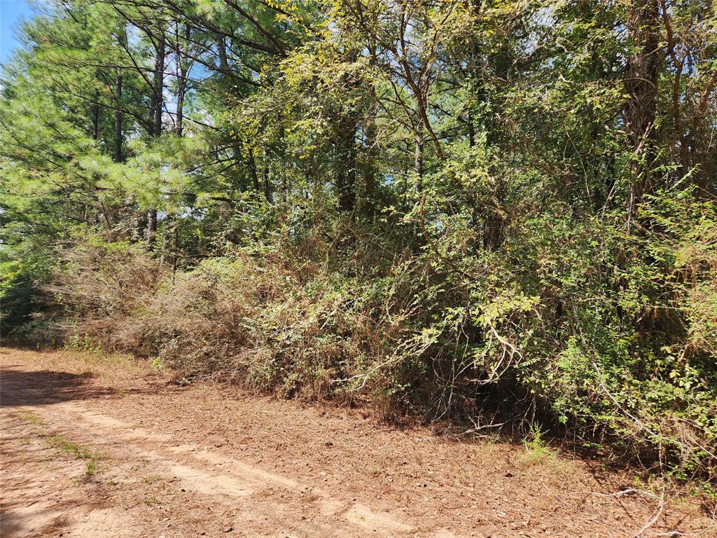 Lot 23 Deerwood Drive, Hempstead, Texas image 5