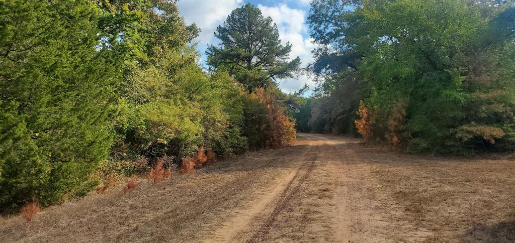 Lot 23 Deerwood Drive, Hempstead, Texas image 2