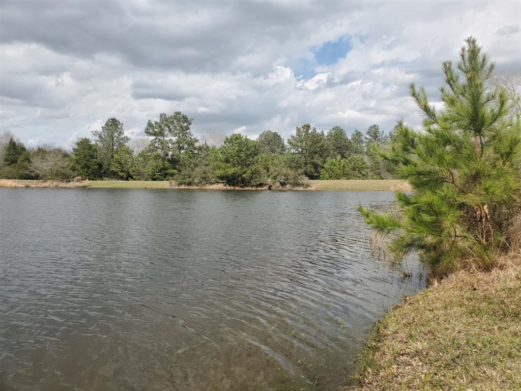 Lot 23 Deerwood Drive, Hempstead, Texas image 29