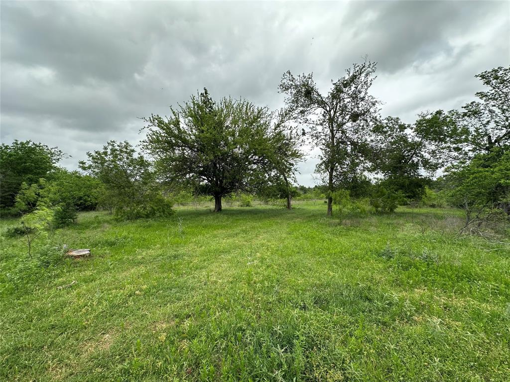 TBD County Road 707, Kosse, Texas image 42