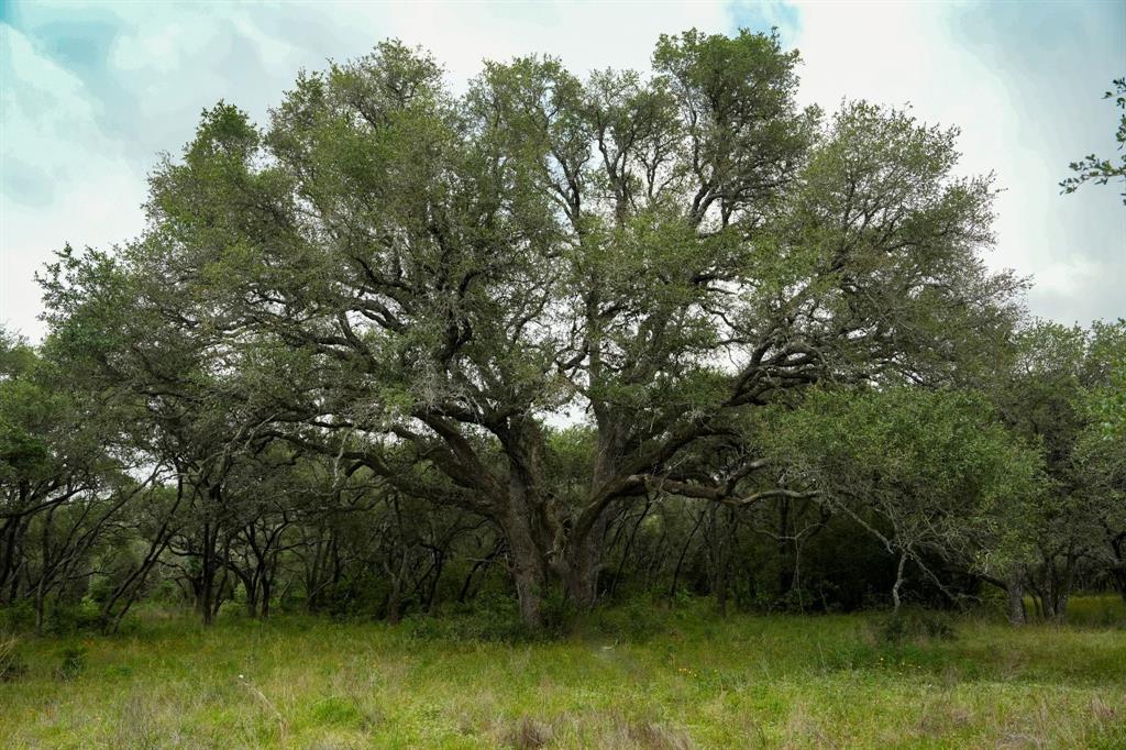 Lot 29 Shorebird Lane, Columbus, Texas image 15