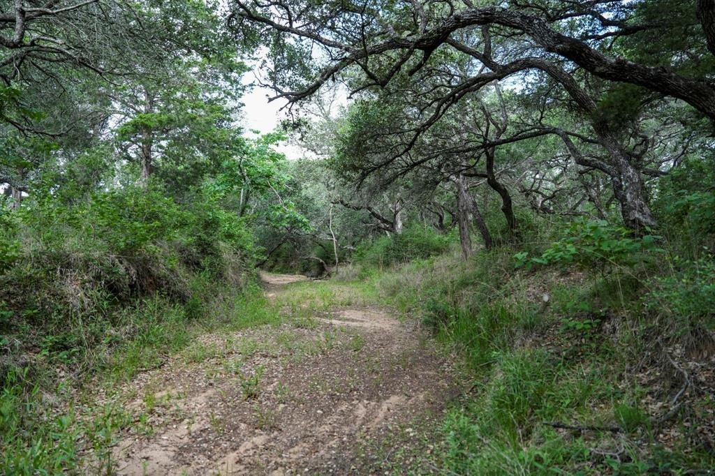 Lot 29 Shorebird Lane, Columbus, Texas image 13