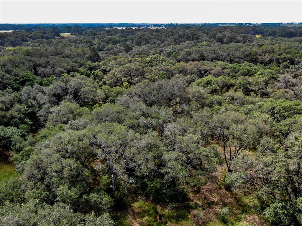 Lot 29 Shorebird Lane, Columbus, Texas image 6