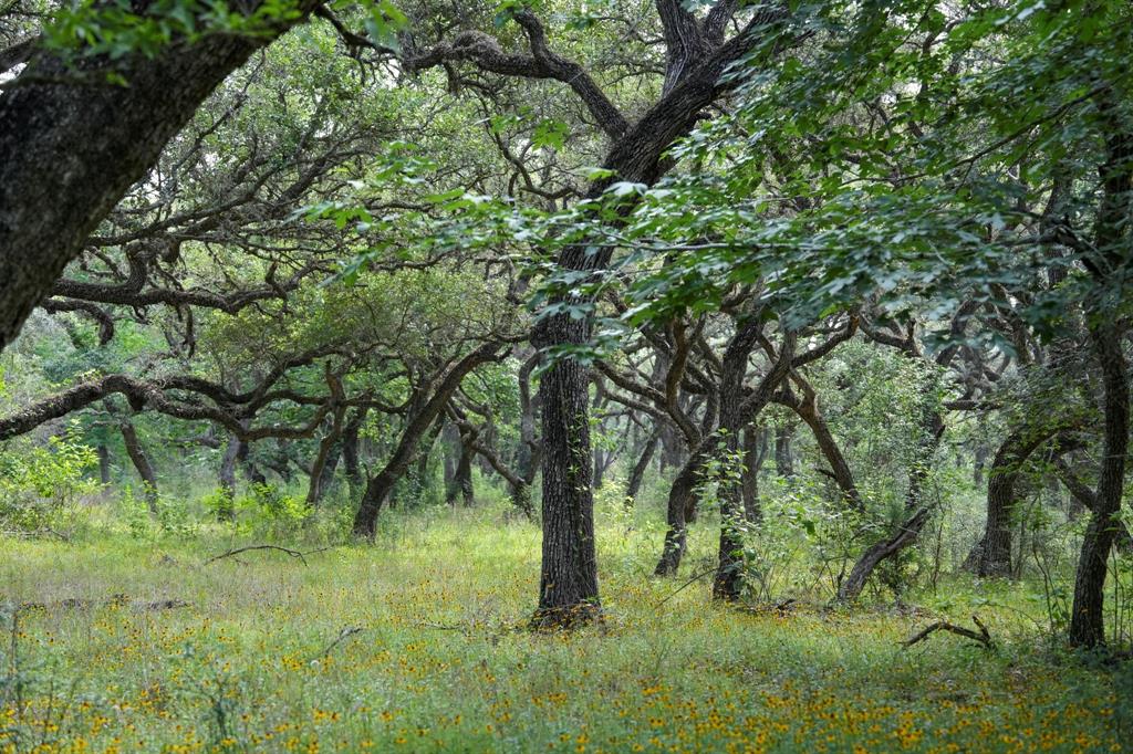 Lot 29 Shorebird Lane, Columbus, Texas image 11