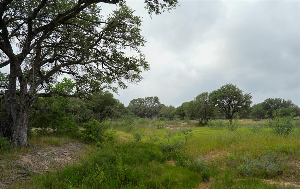 Lot 29 Shorebird Lane, Columbus, Texas image 8