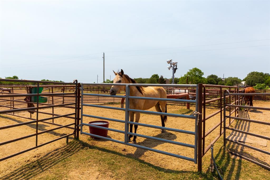 3637 Foerster School Road, Rosenberg, Texas image 3