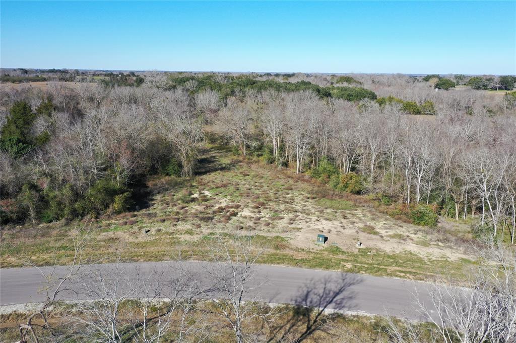 Lot 28 Winding Branch, Chappell Hill, Texas image 10