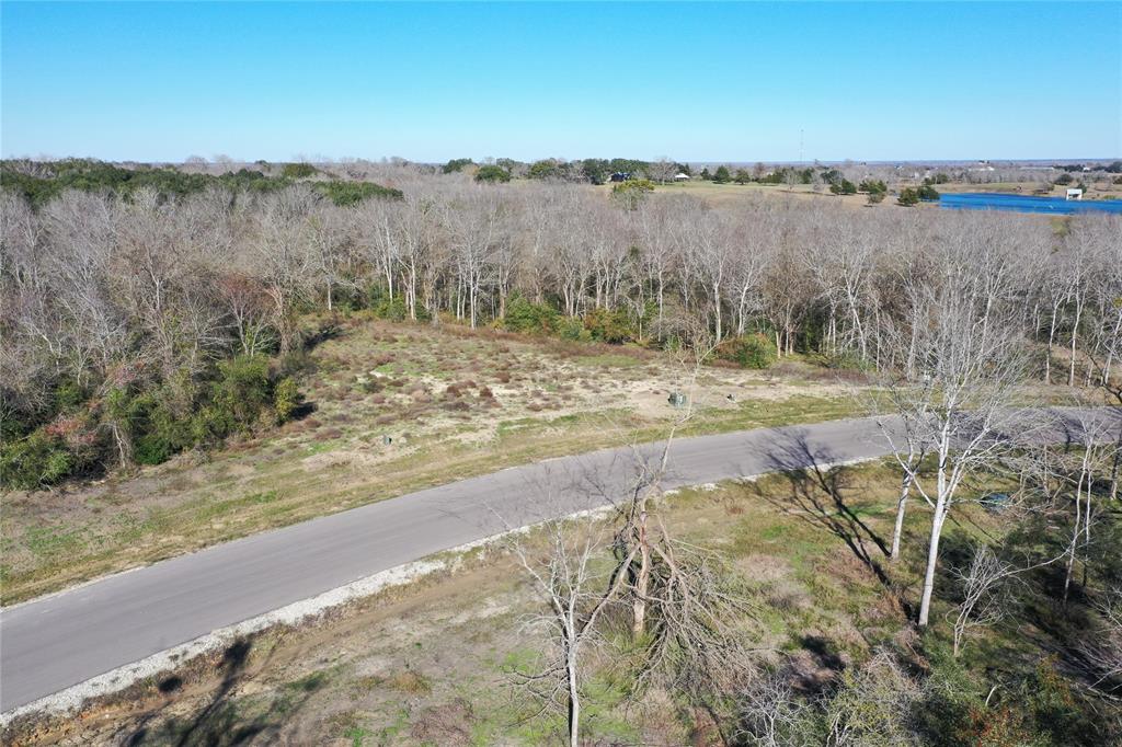 Lot 28 Winding Branch, Chappell Hill, Texas image 11