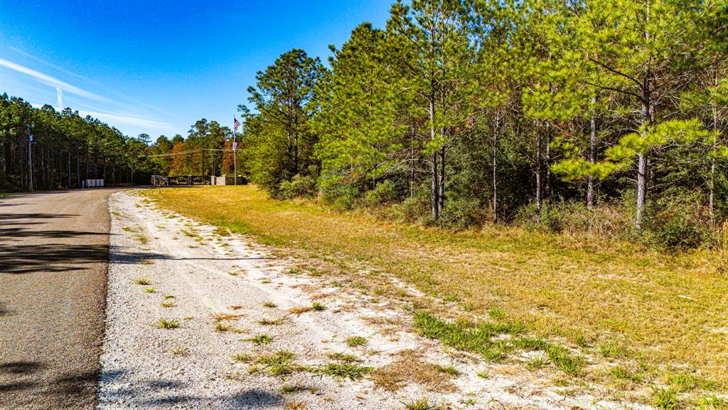 012 Magnolia Ranch Road, Onalaska, Texas image 8