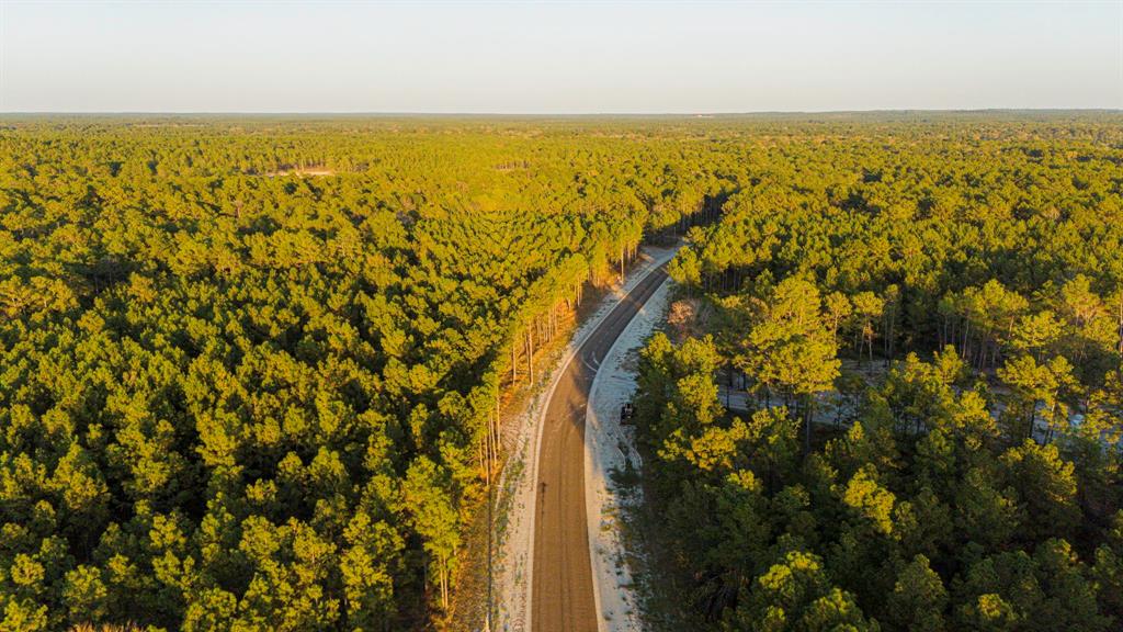 012 Magnolia Ranch Road, Onalaska, Texas image 6