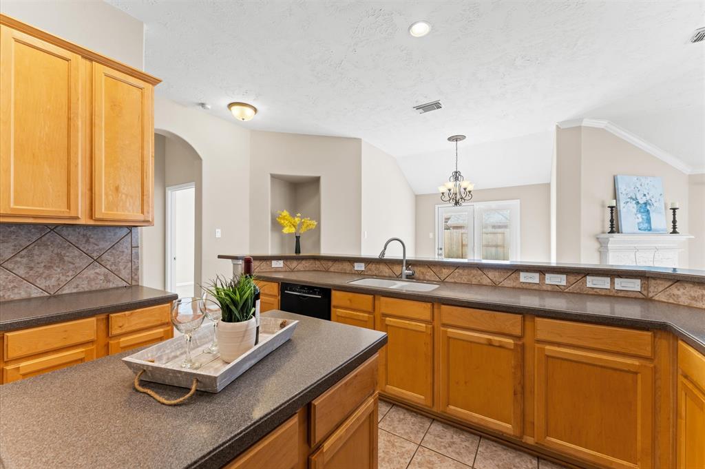 23834 Flower Bud, Katy, Texas image 11