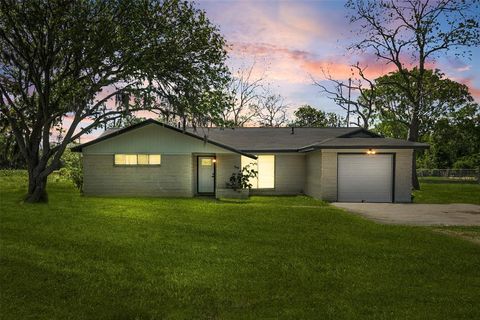 Single Family Residence in Brazoria TX 20244 County Road 510w.jpg