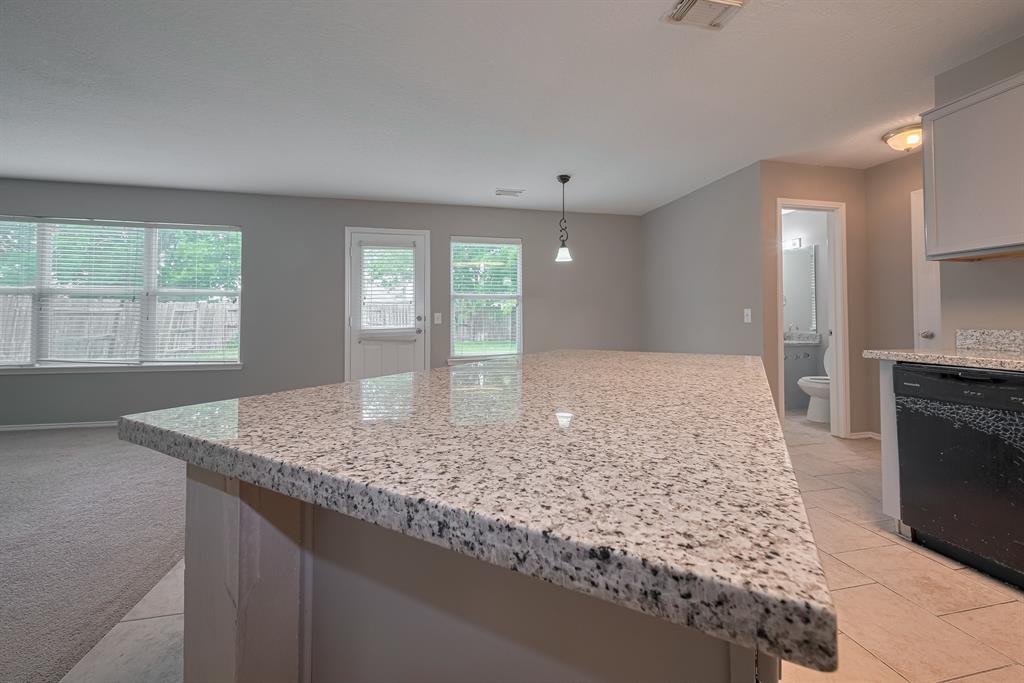 14910 Sugar Crystal Court, Sugar Land, Texas image 15