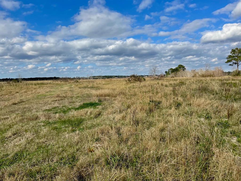 0000 Fm 3247, Orange, Texas image 3