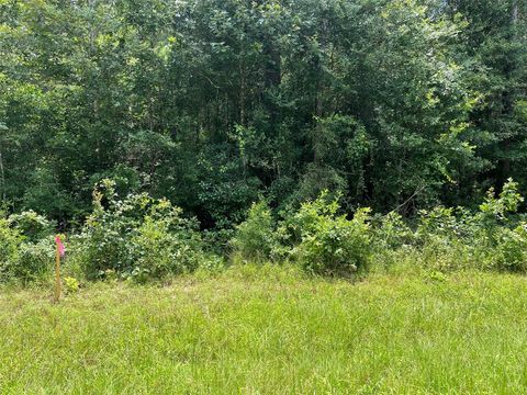 Photo of 25416 Cambridge Boulevard, New Caney, TX 77357 (MLS # 27150972)