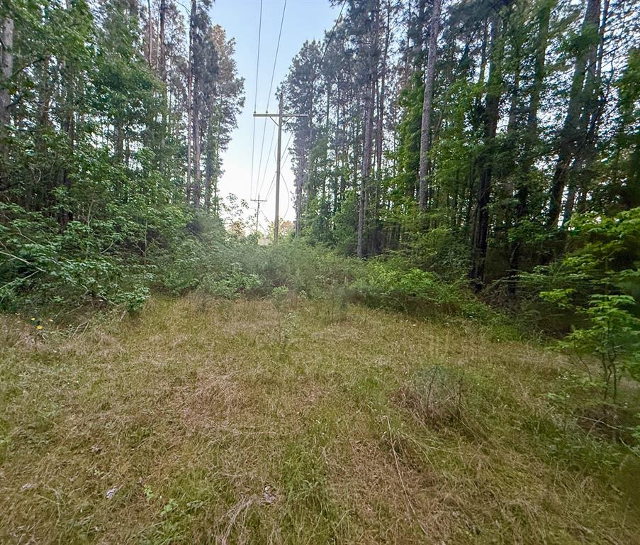 Sh 75 South, Huntsville, Texas image 12