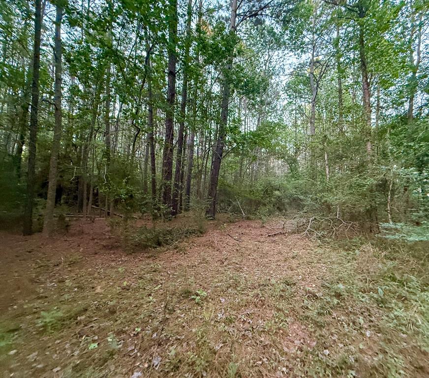 Sh 75 South, Huntsville, Texas image 11