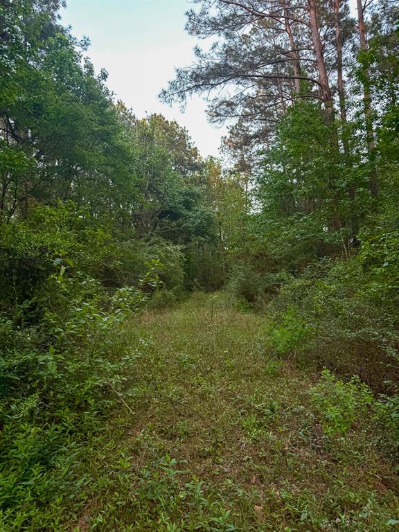 Sh 75 South, Huntsville, Texas image 9