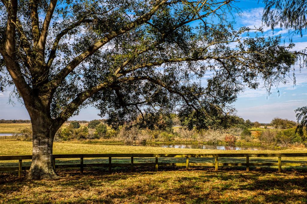 1554 Bluebonnet Ridge Dr, Chappell Hill, Texas image 1