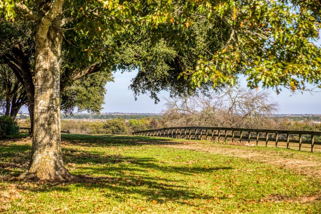 1554 Bluebonnet Ridge Dr, Chappell Hill, Texas image 9