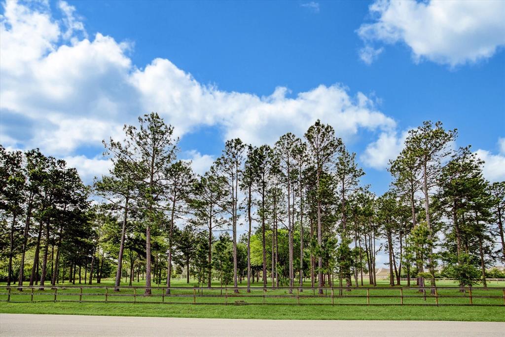 Willow Lane, Katy, Texas image 2