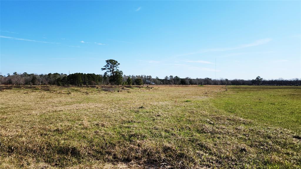 901 Sh 61, Devers, Texas image 12