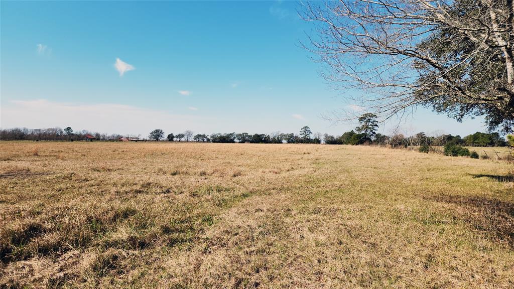 901 Sh 61, Devers, Texas image 19