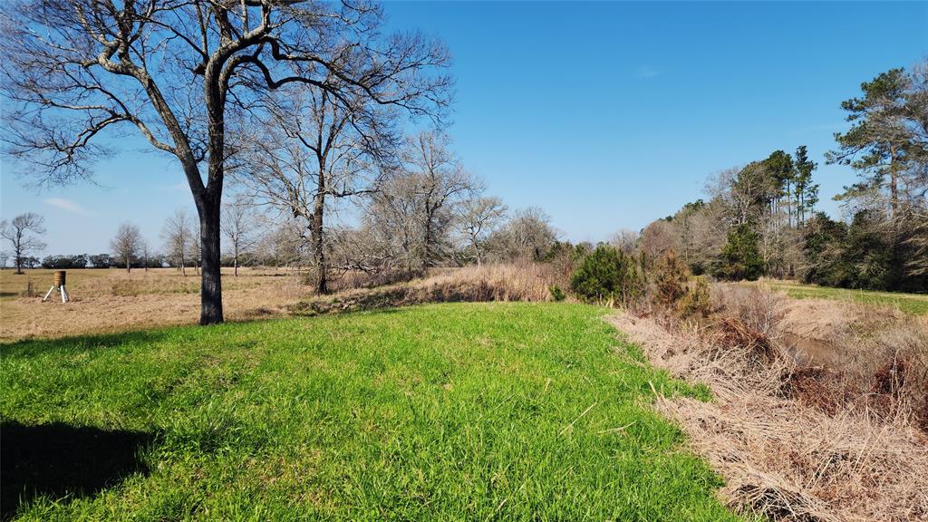 901 Sh 61, Devers, Texas image 23