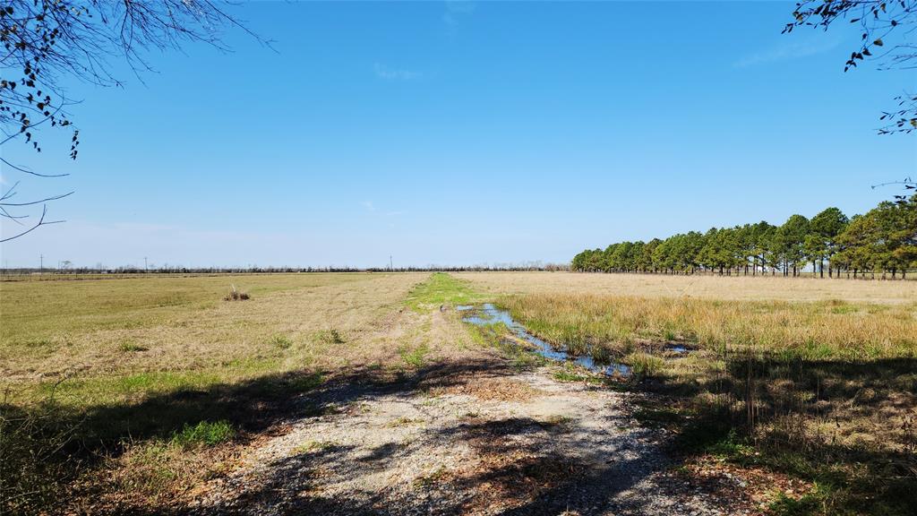 901 Sh 61, Devers, Texas image 9