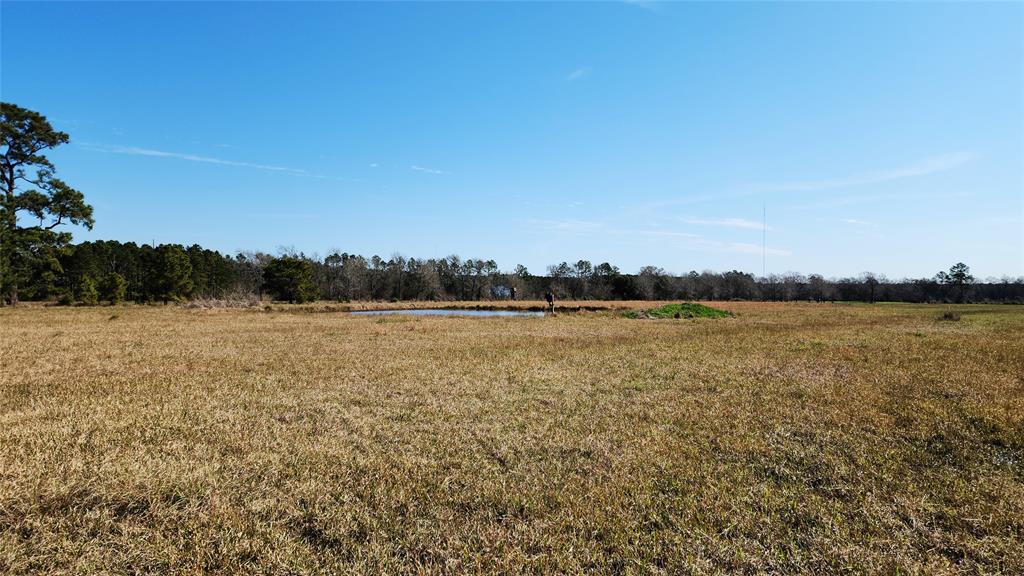 901 Sh 61, Devers, Texas image 15