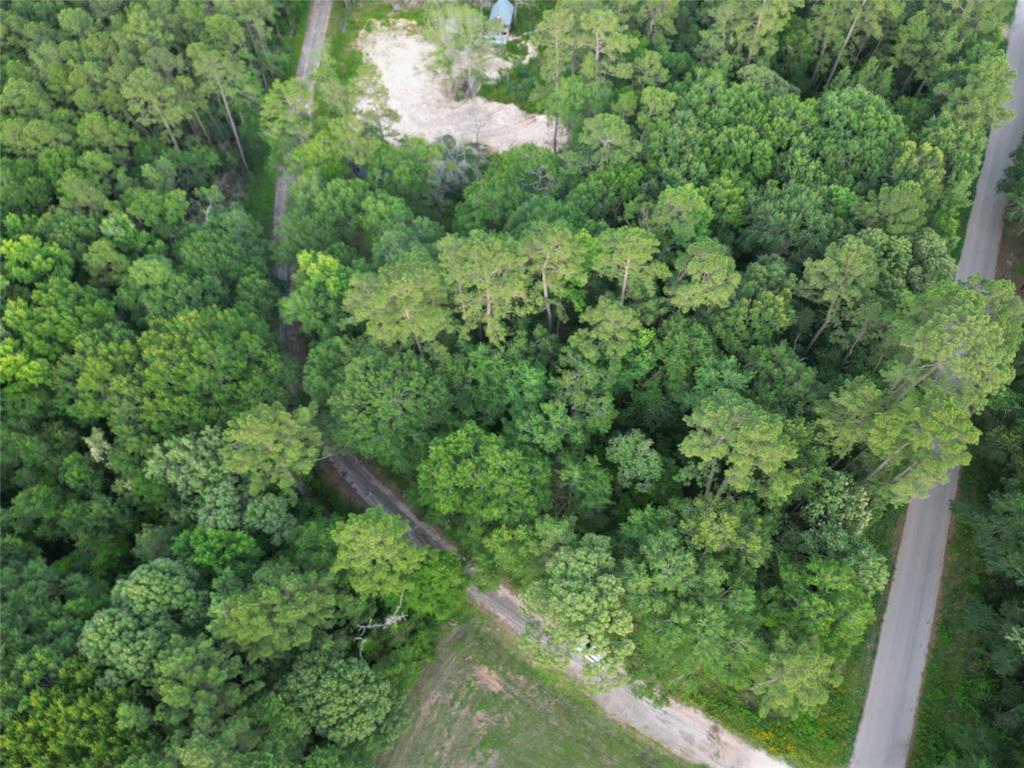 16383 Largent Drive, Plantersville, Texas image 2