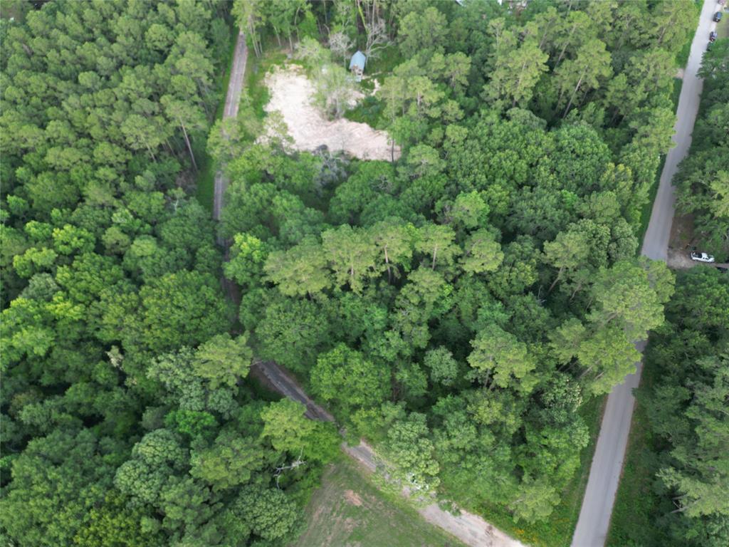 16383 Largent Drive, Plantersville, Texas image 3