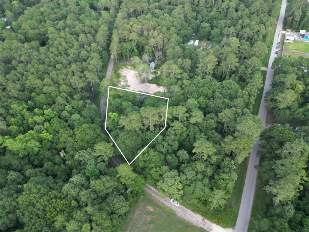 16383 Largent Drive, Plantersville, Texas image 4
