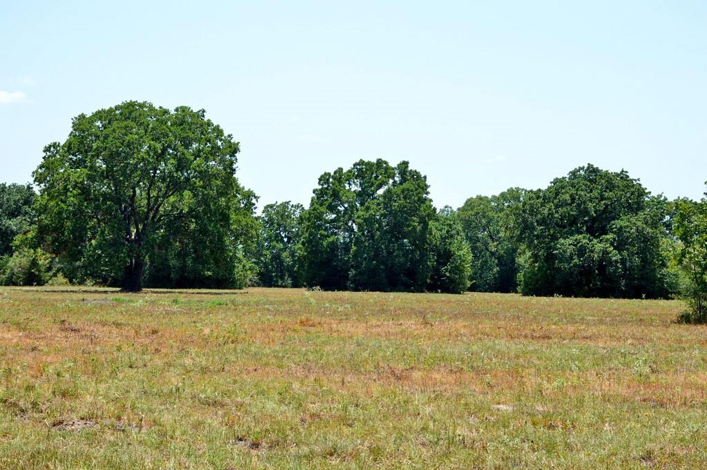 TBD 119 Fm 1227, Navasota, Texas image 9